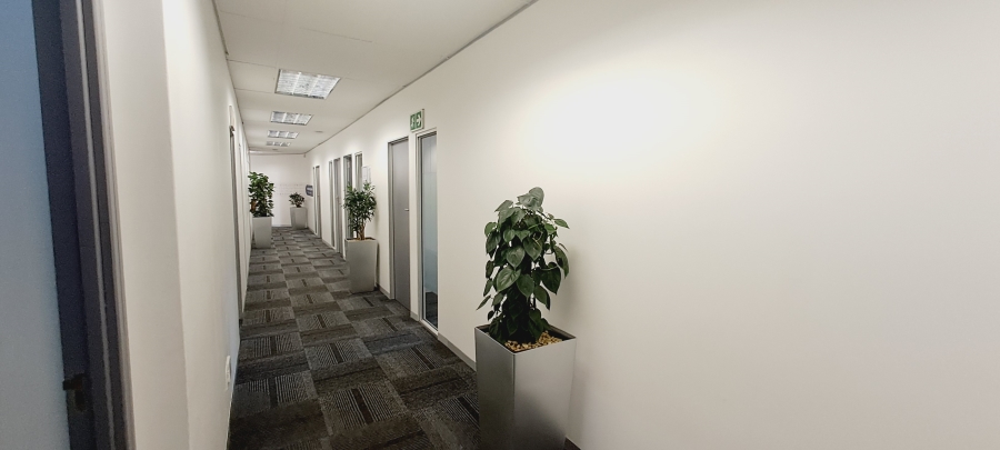 To Let commercial Property for Rent in Tyger Valley Western Cape